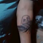 Mallika Iyer Mehta - @maltikaiyerr - Instagram