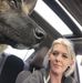 Mallory Anderson - Facebook