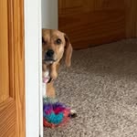 Mallory - @mallory_ann - Instagram