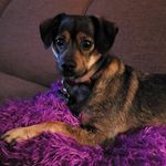 Sterling Mallory Archer - @mister_archer05 - Instagram