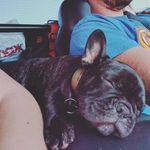 Sterling Mallory Archer - @adventures_of_sterling_archer - Instagram