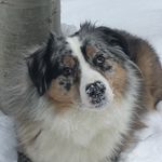 Sterling Mallory Archer - @sterlingmalloryarcher - Instagram