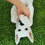 Sterling Mallory Archer - @archersterlingarcher - Instagram