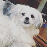 malloryasher - @malloryasher5 - Instagram
