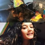 ❤️Mallory&Asher🐶 - @mallory_asher - Instagram