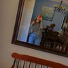 Mallory Ball - @malloryball1 - TikTok