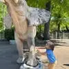 mallorybarron4 - @mallory.barron7 - TikTok