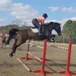 Mallory Barton - @barton_equestrian - Instagram