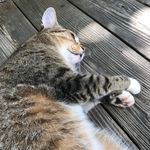 Mallory Belcher - @catpuchin0_photography23 - Instagram