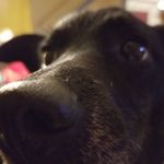 Mallory Clevenger - @mallamar13 - Instagram