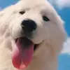 MalloryMcconnellaqb - @mallorymcconnella - TikTok
