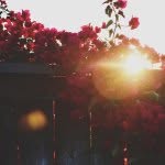 Mallory Danielle - @_disassociate_ - Instagram