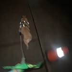 mallory - @mallory___day - Instagram