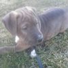 Mallory Duncan - @twila5179865 - TikTok