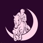 Mallory Forrest - @bigcavalloequestrian - Instagram