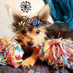 Mallory Glenn - @malloryglenn_artjournaling - Instagram