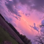 Mallory Griggs - @griggs.mallor - Instagram