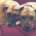 Mallory & Harper - @malloryandharper - Instagram