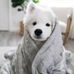 Mallory Holman - Facebook