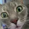 Mallory_Hook - @hgftjbdtioidw36uhgerhvhm - TikTok