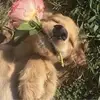 Mallory Jade - @5pam_m - TikTok