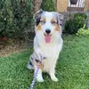 Mallory Jade - @proof.is.in.the.pudding - TikTok
