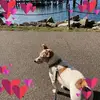 Mallory Jayne - @mallory.jayne2 - TikTok