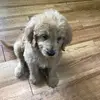 mallory_kennedy54 - @mallory_kennedy54 - TikTok