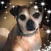 Mallory Kennedy - @mallorykennedy5 - TikTok