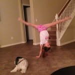 Mallory Kent - @gymnasticsmallory333 - Instagram