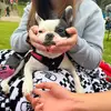 malloryklein_ - @malloryklein_ - TikTok