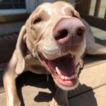 Mallory Knutson - @zenkus1 - Instagram