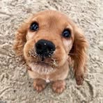 Milourie Lapointe - Facebook