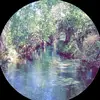 River - @mallorylapointe - TikTok