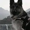 malory.legrand - @malory.legrand - TikTok