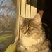 Mallory Macdonald - Facebook