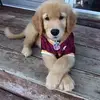Mizee Mallory - @mizee.mallory - TikTok