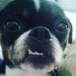 Mallory Newcomb - @mallory_newcomb - Instagram