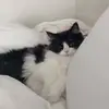 MalloryObrien - @alicejklz84 - TikTok