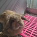 Mallory Patterson - Facebook