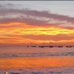 Mallory Pittman - @mallory_pittman15 - Instagram