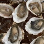 Farm to Ladle : Mallory Potts - @farm_to_ladle - Instagram