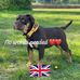 Raymond Mallory - Facebook