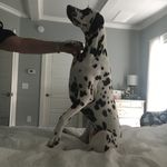 Mallory Reese Eggleston - @malloryreggs - Instagram