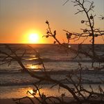 Mallory Wallace - @mals_photogram - Instagram