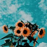 Mallory Welsh - @selling.aesthetic.lipgloss - Instagram