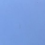 Mallorywelsh - @mallorywelsh8 - Instagram