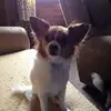 Mallori Willard - @malloriwillard - TikTok