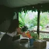 Mallory Williamson - @maljwilliamson - TikTok