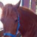 Mallory Yerger - Facebook